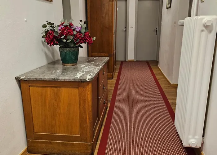 فندق مبيت وإفطار بنسيون بوشنير 2*