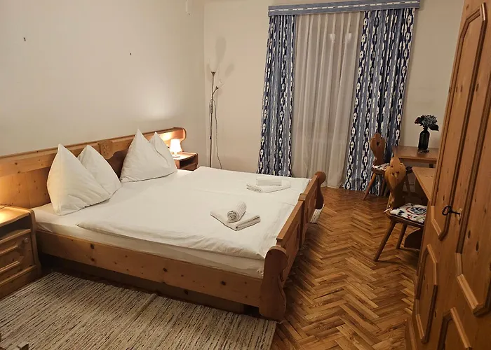 فندق مبيت وإفطار بنسيون بوشنير 2*