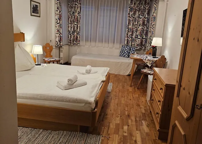 فندق مبيت وإفطار بنسيون بوشنير زيل أم سي