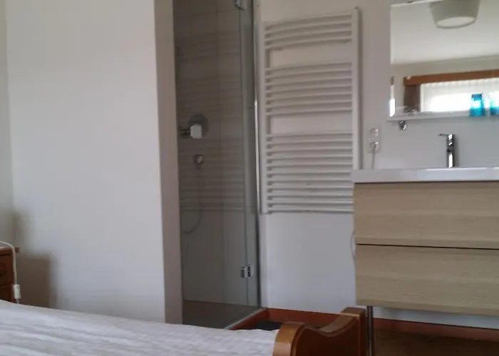 فندق مبيت وإفطار بنسيون بوشنير 2*